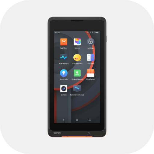 SUNMI P2 Lite SE